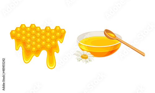 Beekeeping set. Honeycomb slice with liquid dripping honey and bowl of fresh honey, apiculture product vector illustration