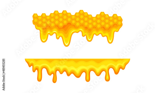 Beekeeping and honey production set. Honeycomb slices with liquid dripping honey, apiculture product vector illustration
