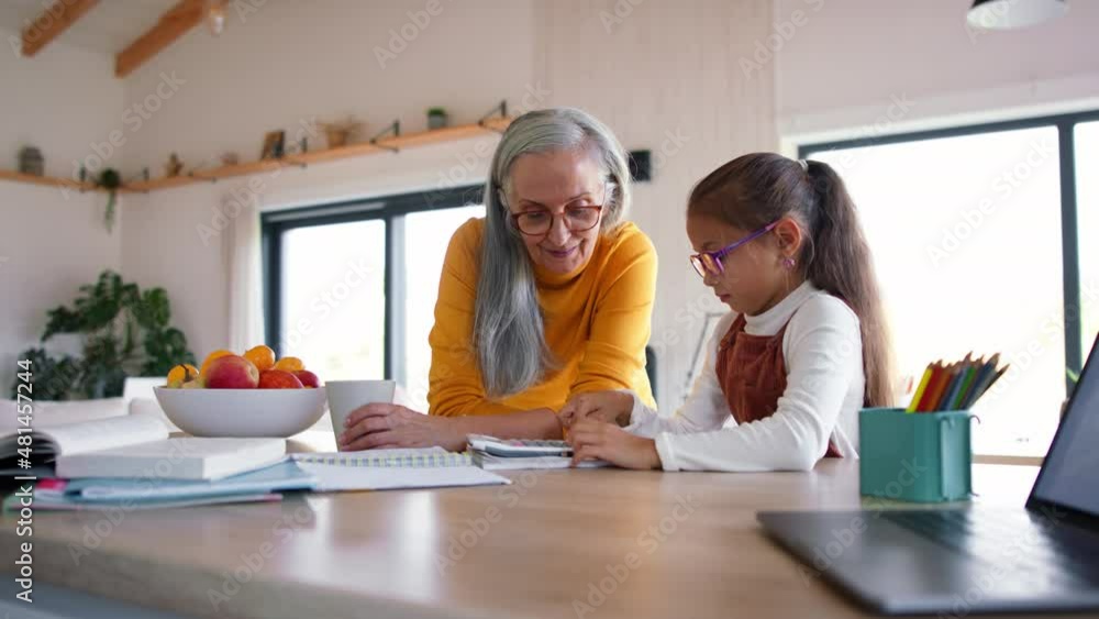 Small girl with senior grandmother doing maths homework at home. Small girl with senior grandmother doing maths homework at home.