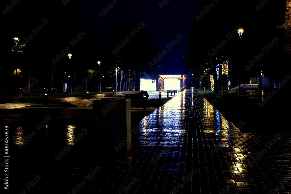 The mysterious light of the night is reflected as if in a mirror on the wet paths of the city park.