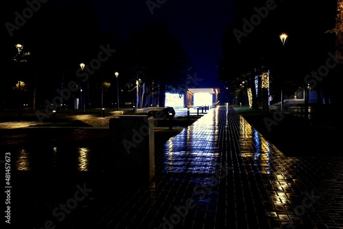 The mysterious light of the night is reflected as if in a mirror on the wet paths of the city park.