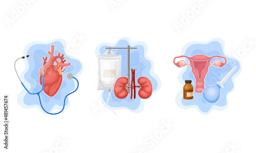 Human internal organs examination and set. Treatment and curing of heart, kidneys and female reproductive system vector illustration