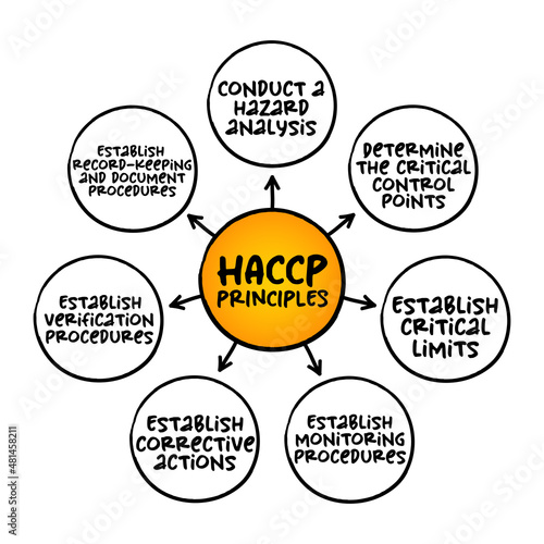 HACCP PRINCIPLES, identification, evaluation, and control of food safety hazards based on the following seven principles, mind map concept for presentations and reports
