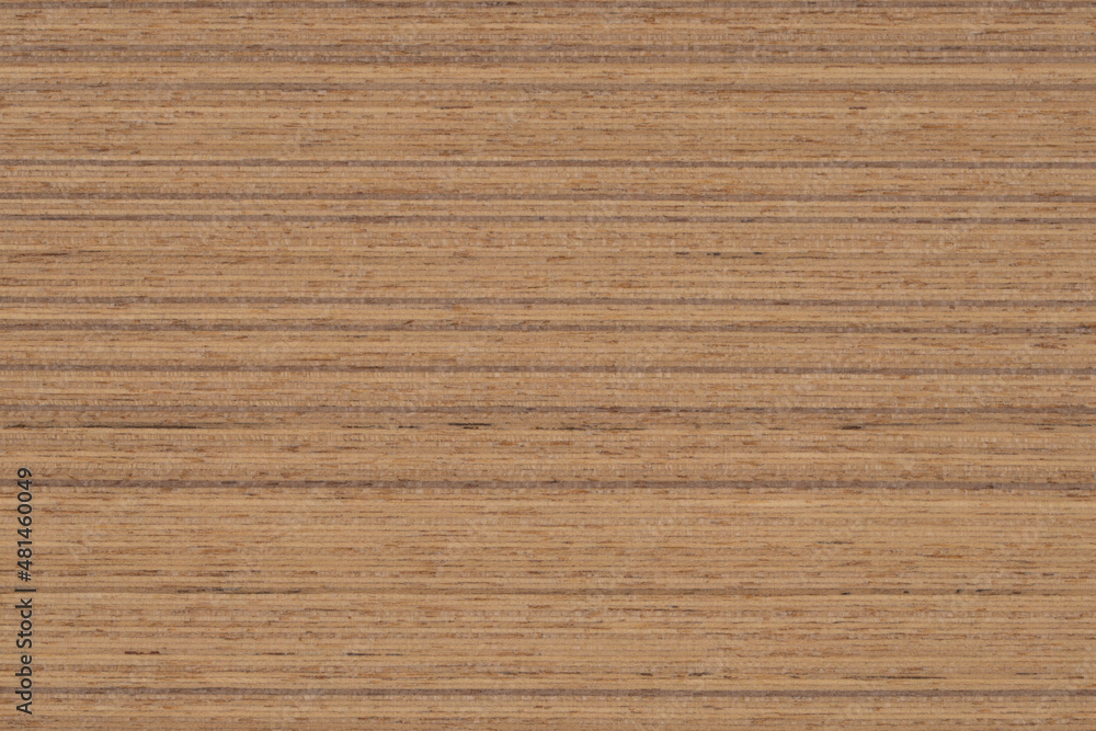 Naklejka premium Teak wood panel texture pattern