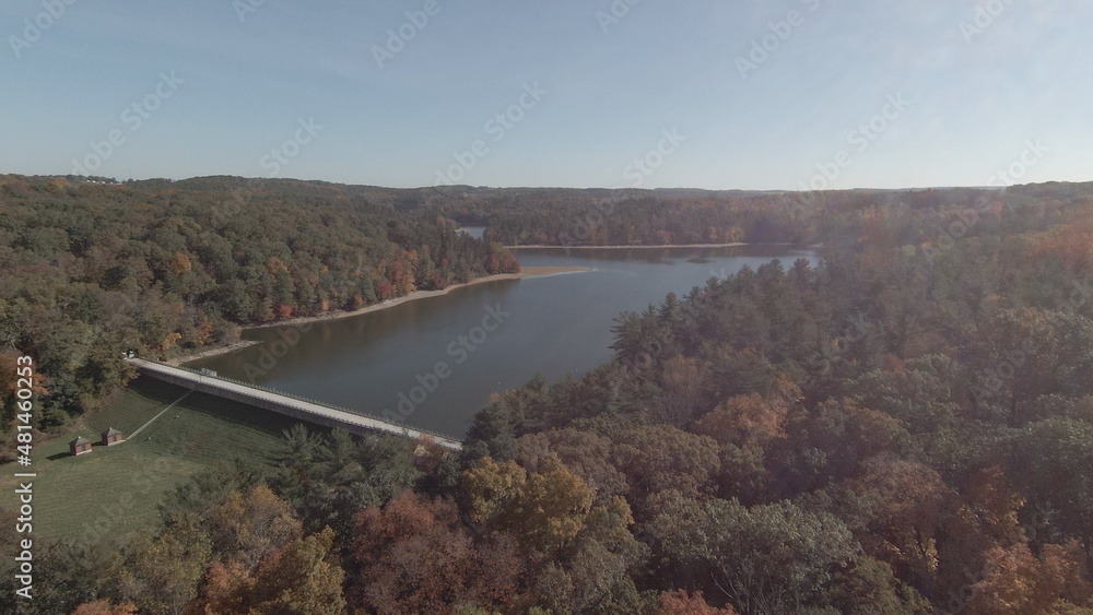 Fototapeta premium d_cinlike