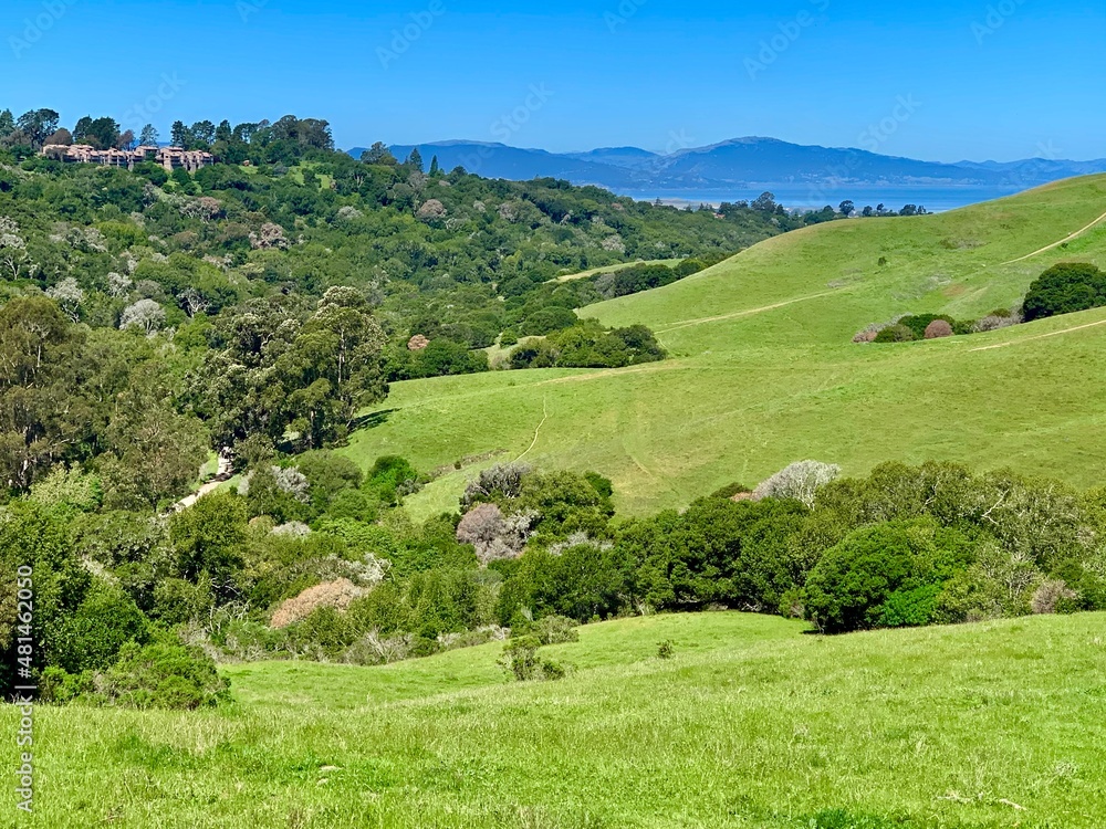 East Bay hills toward San Francisco Bay, California