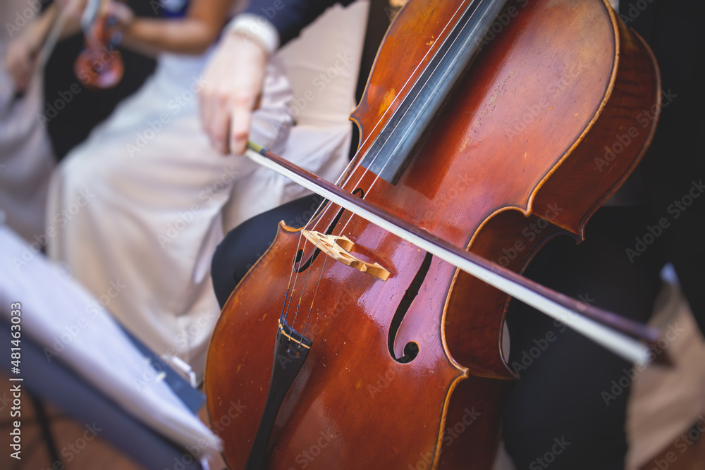 Concert view of a contrabass violoncello player with vocalist and musical band during jazz orchestra band performing music, violoncellist cello jazz player on stage Concert view of a contrabass violoncello player with vocalist and musical band during jazz orchestra band performing music, violoncellist cello jazz player on stage