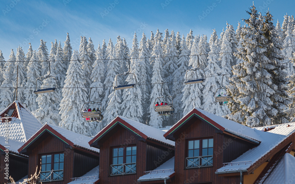 Obraz na płótnie Zimowy krajobraz ośnieżonych drzew w salonie