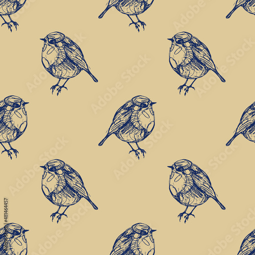 Seamless animal pattern with hand drawn linear silhouettes of European robin (Erithacus rubecula) or redbreast bird.