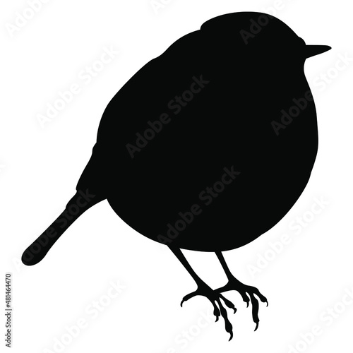 Silhouette of European robin or redbreast bird. Erithacus rubecula. Vector animal illustration. 