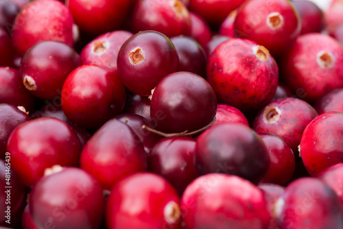 Juicy, fresh, large, ripe cranberry berries macro, shallow depth of field