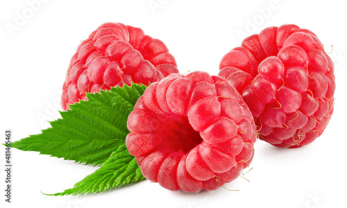ripe raspberries with green leaf isolated on white background. clipping path