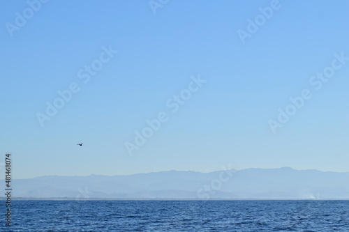paragliding in the sea © Max