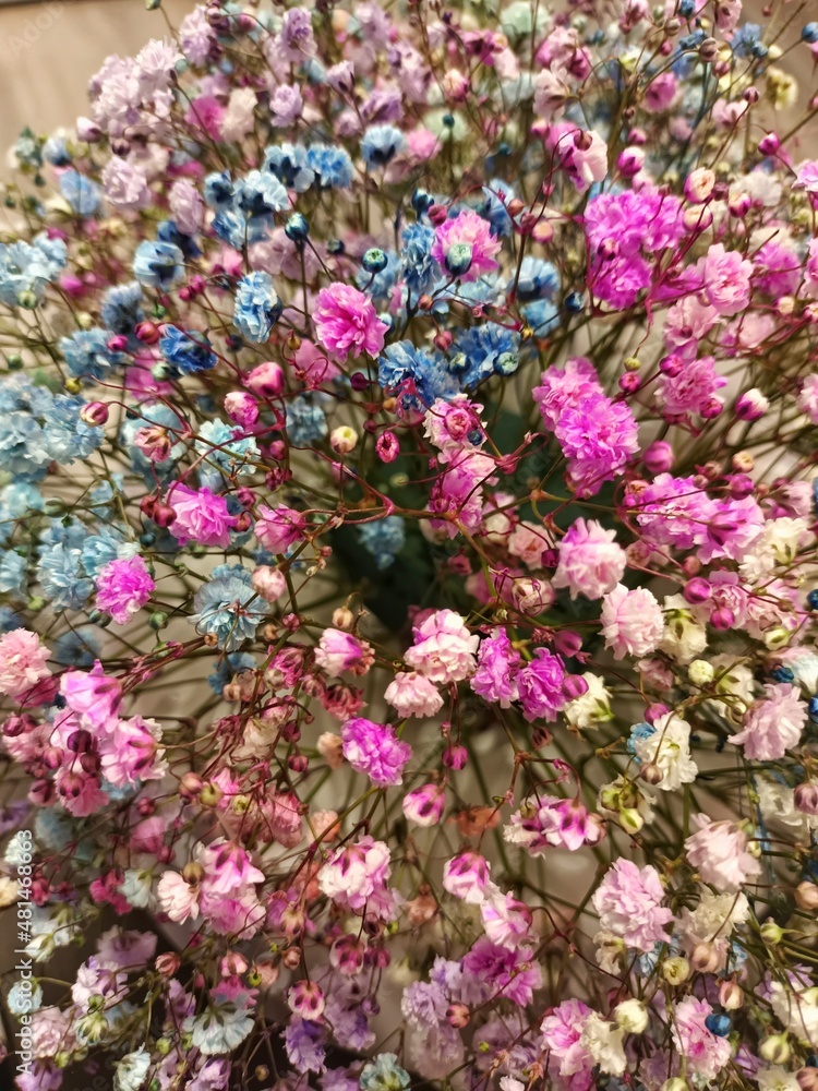 Obraz premium pink flowers background