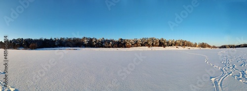 Fototapeta Naklejka Na Ścianę i Meble -  landscape with snow covered trees