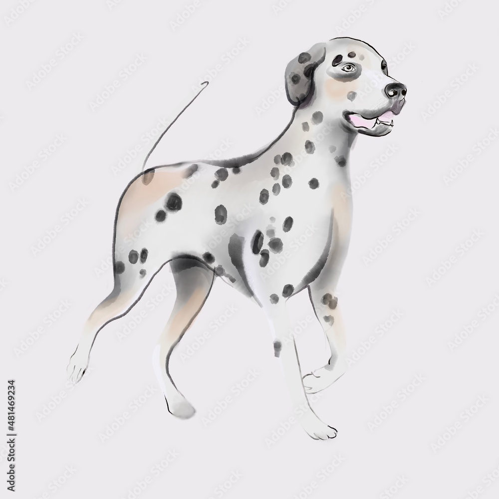 Dog illustration. Cute home animals decorations art