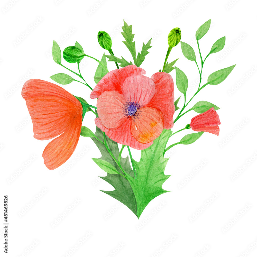 Summer watercolor set of sunflowers and poppies
Summer watercolor set of sunflowers and poppies
