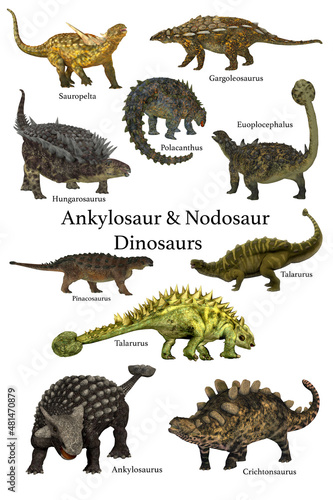Fototapeta Naklejka Na Ścianę i Meble -  Ankylosaur & Nodosaur Dinosaurs - A collection of prehistoric armored animals known as Ankylosaur and Nodosaur dinosaurs.