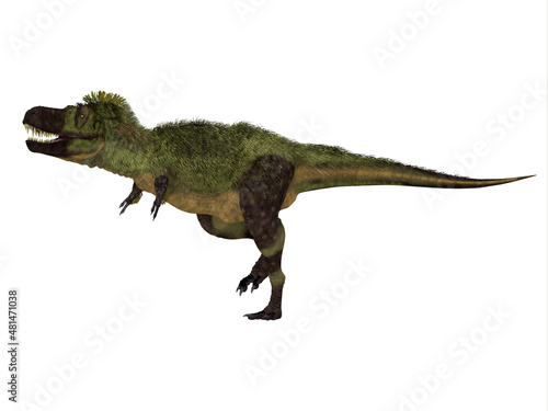 Tarbosaurus Feathered Dinosaur - Tarbosaurus was a carnivorous feathered dinosaur that lived in Asia during the Cretaceous Period.