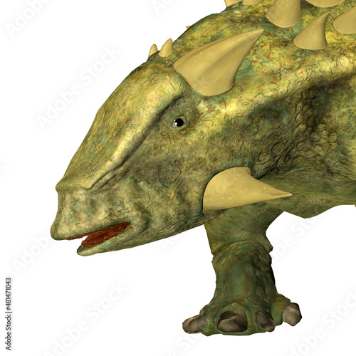 Talarurus Ankylosaurus Head - Talarurus was an armored Ankylosaurus dinosaur that lived in Mongolia during the Cretaceous Period. photo
