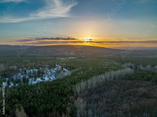 Hungary - Amazing winter forest from drone view