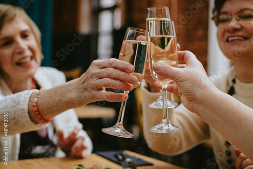 Photography Hands of smiling elderly women clinking glasses of wine or champagne while celeb