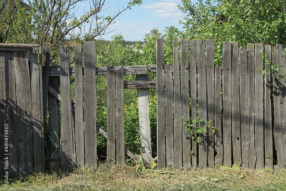 old gray wooden fence with broken boards overgrown with green vegetation on a rural street