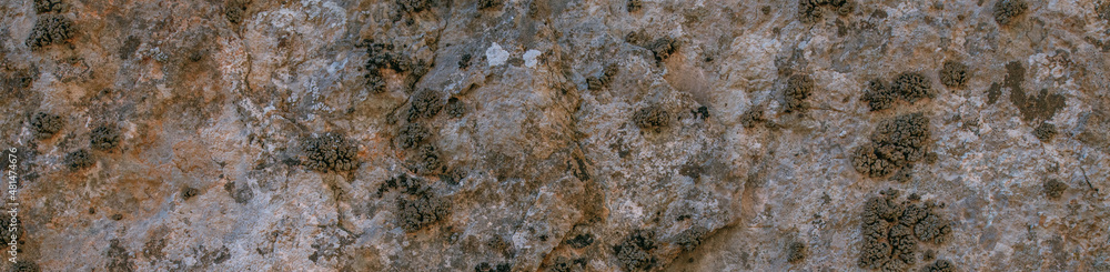 The texture of a large stone, part of a rock on a sunny day. Close-up. Macro The texture of a large stone, part of a rock on a sunny day. Close-up. Macro