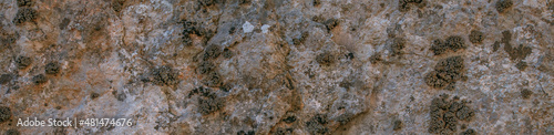 The texture of a large stone, part of a rock on a sunny day. Close-up. Macro