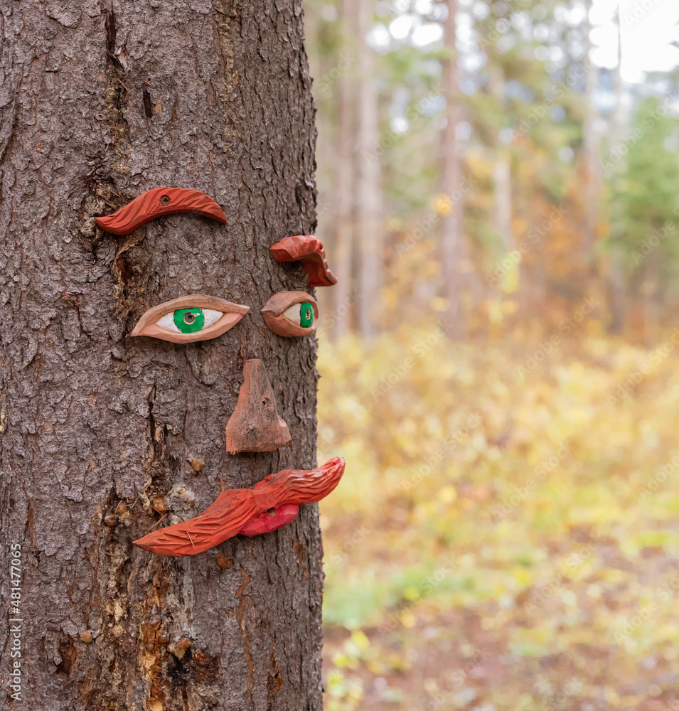 Fototapeta premium Wood carved tree with human face in a forest