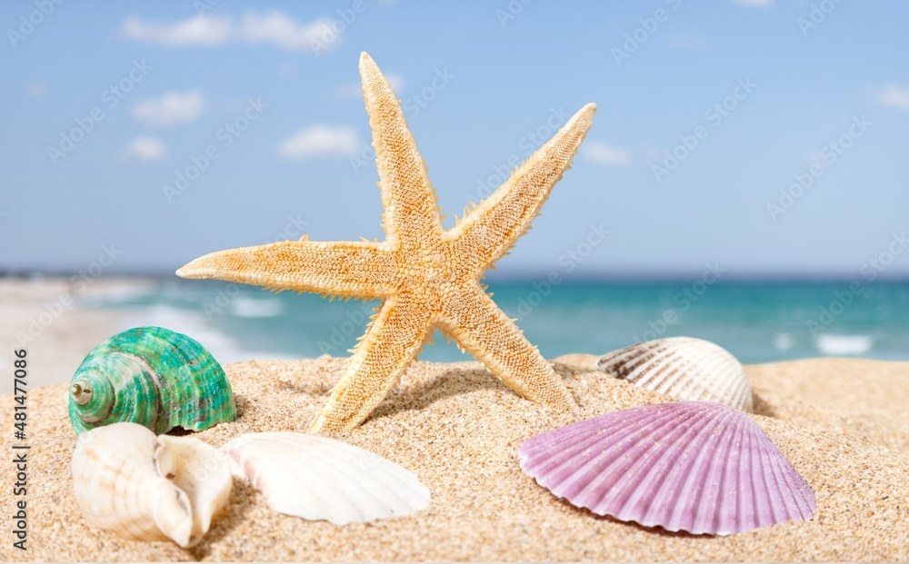 Summer accessories. Planning to travel on the beautiful beach and blue sky background. Tropical fashion. Summer accessories. Planning to travel on the beautiful beach and blue sky background. Tropical fashion.