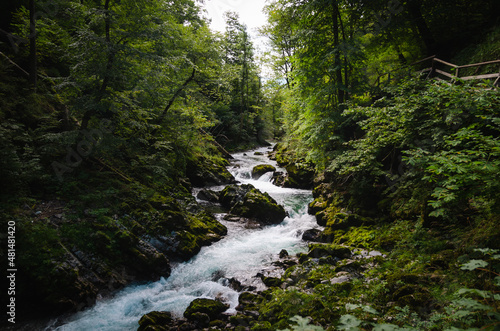 Vintgar gorge of Radovljica river in Slovenia 