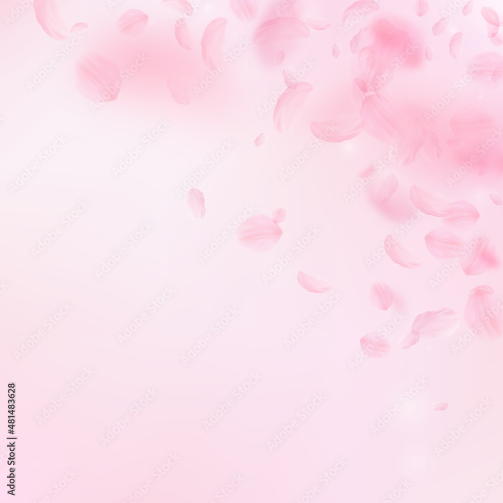 Sakura petals falling down. Romantic pink flowers corner. Flying petals on pink square background. Love, romance concept. Classy wedding invitation.