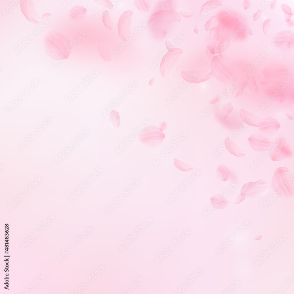 Sakura petals falling down. Romantic pink flowers corner. Flying petals on pink square background. Love, romance concept. Classy wedding invitation. Sakura petals falling down. Romantic pink flowers corner. Flying petals on pink square background. Love, romance concept. Classy wedding invitation.