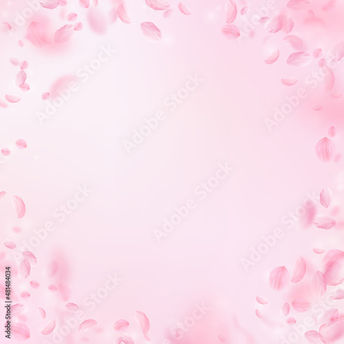 Sakura petals falling down. Romantic pink flowers vignette. Flying petals on pink square background. Love, romance concept. Exotic wedding invitation.
