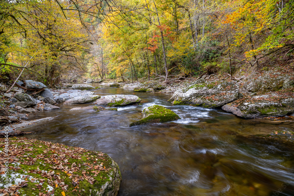Great Smoky Mountains - Little Pigeon River