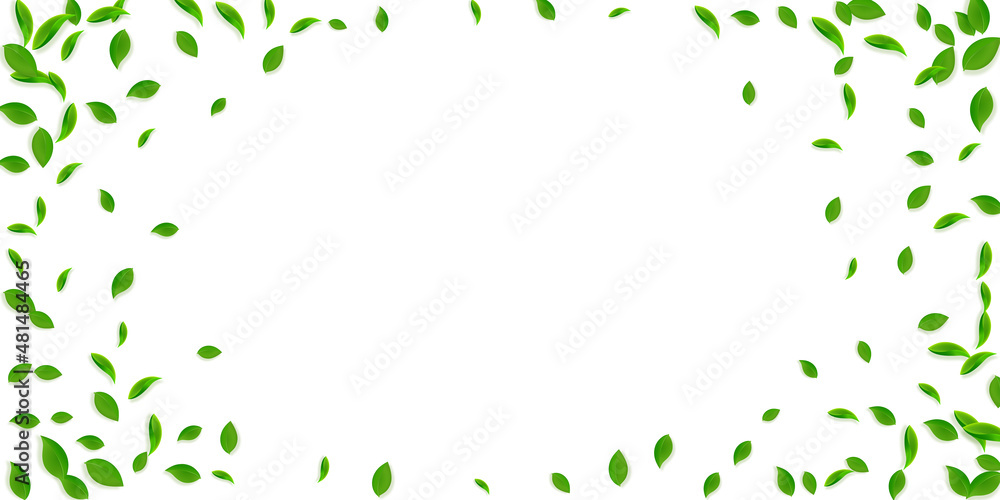 Falling green leaves. Fresh tea chaotic leaves fly Falling green leaves. Fresh tea chaotic leaves fly