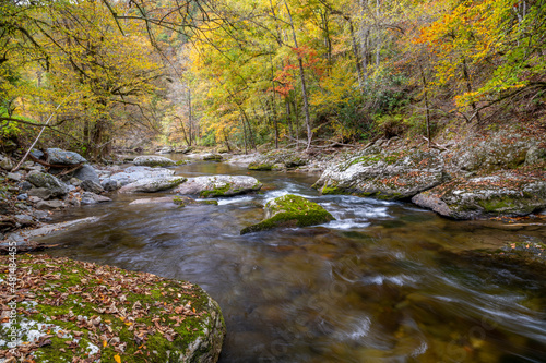 Great Smoky Mountains - Little Pigeon River