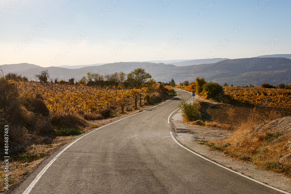 Naklejka Road among the vineyards in the mountains.