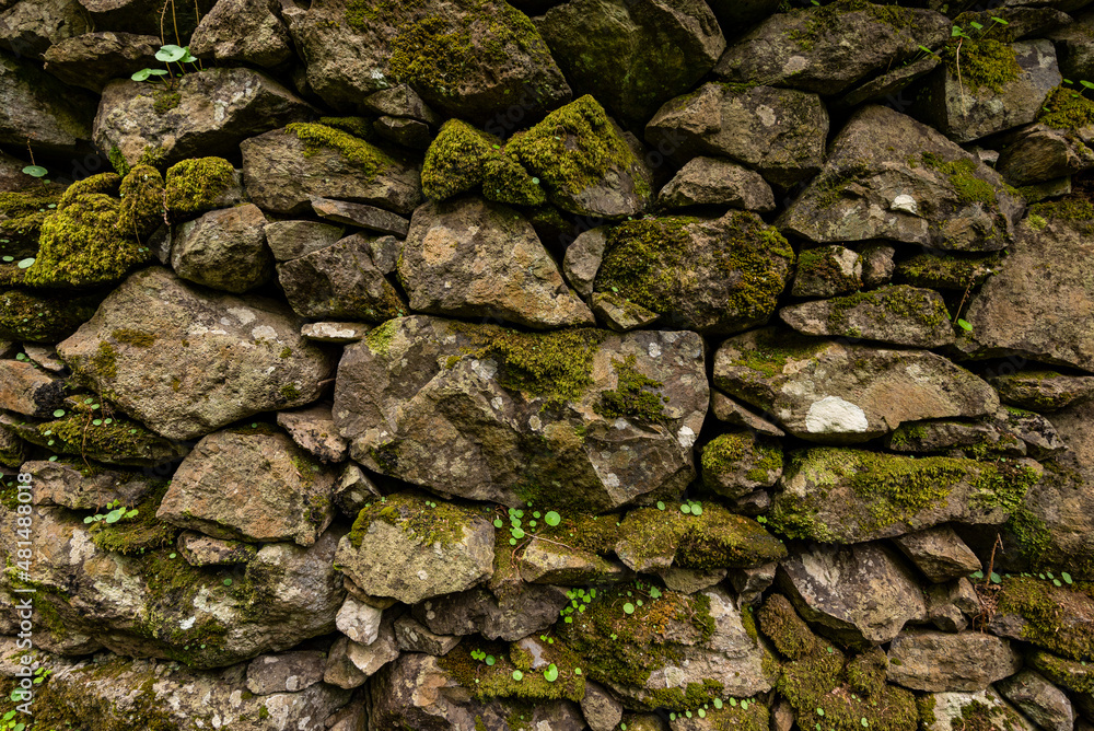 Ancient natural stone wall, covered with moss, suitable as a natural background texture, taken on the island of Madeira, Portugal
