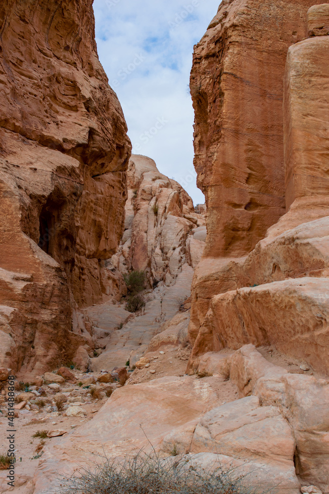 A desertic scene in Petra - Jordan 