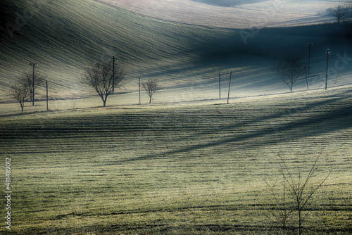 Monferrato alessandrino photo