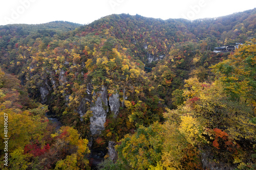 《宮城県》紅葉の鳴子峡