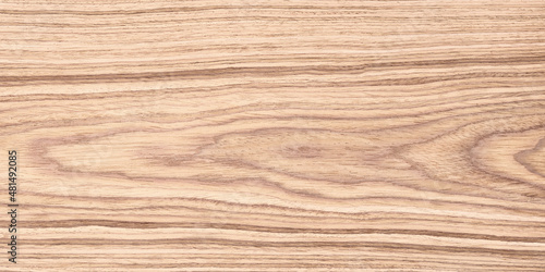 light wood texture with a natural pattern. wooden planks background pastel colors
