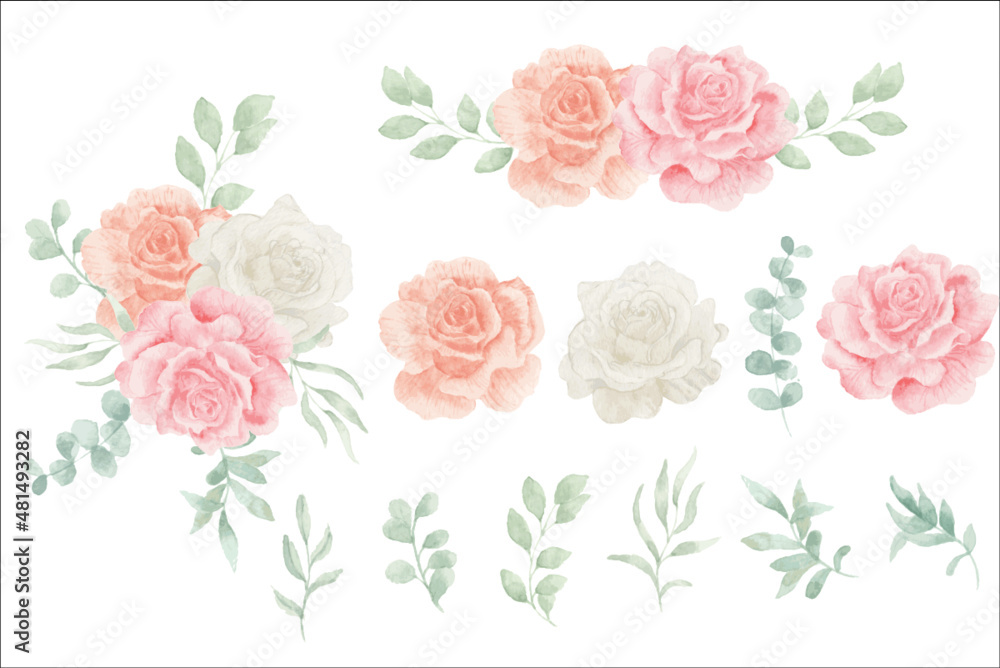 set of watercolor rose flower