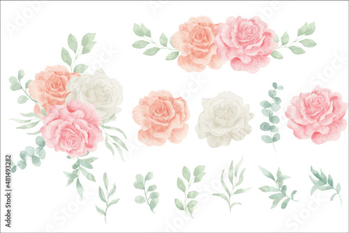 set of watercolor rose flower