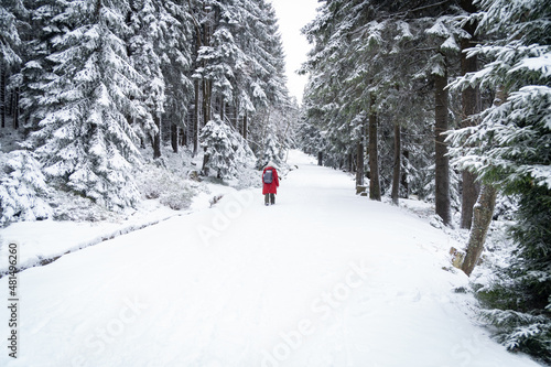 Girl in red coat walking in forest towards Szrenica Mountains - Szklarska Poreba - Giant Mountains, Poland