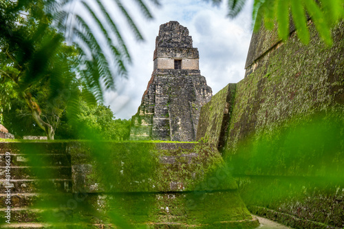 Ruinas y templos mayas de la antigua ciudad de Tikal en la selva - Tikal, Petén, Guatemala photo