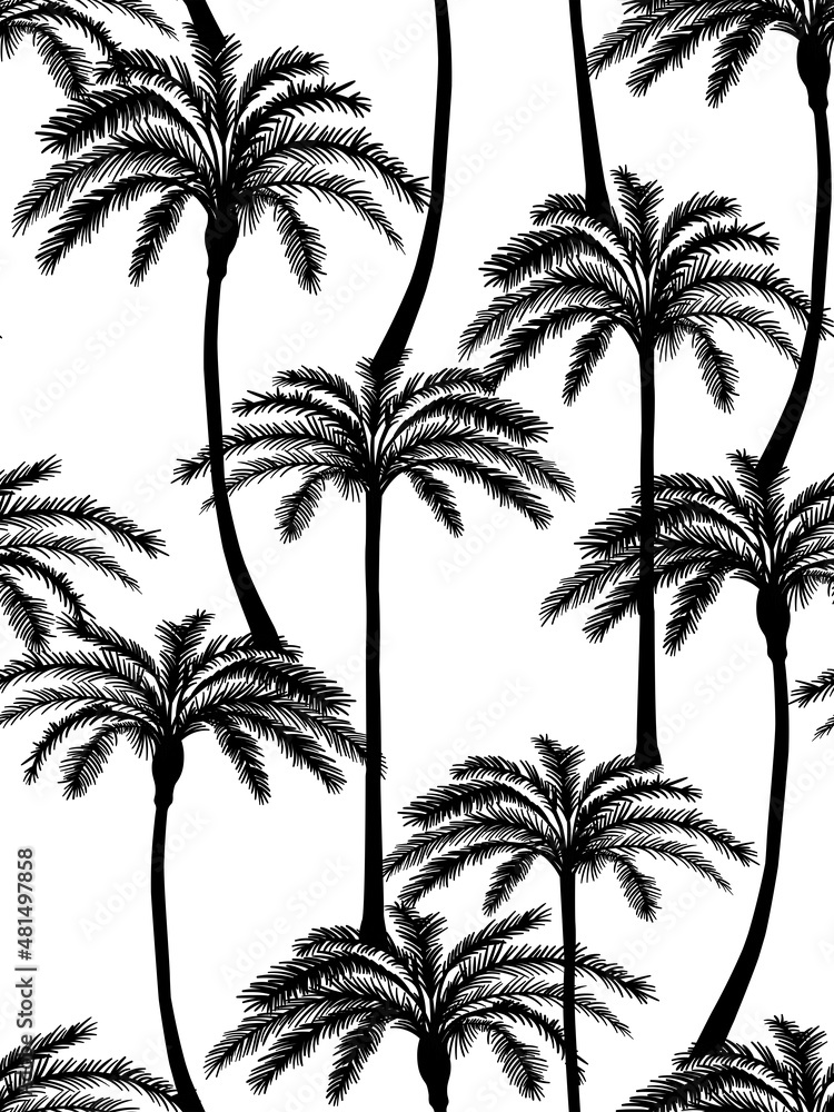 Black and white coconut tree pattern. Vector seamless pattern.
