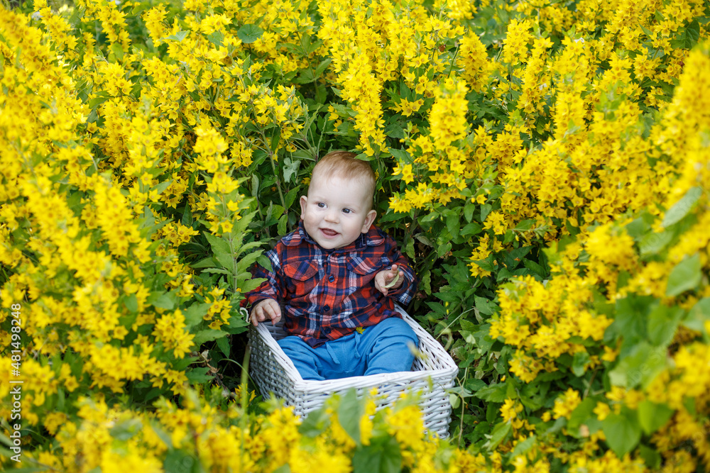 Smiling child plays in flowers. Baby in blooming spring garden. Summertime scene from childhood Smiling child plays in flowers. Baby in blooming spring garden. Summertime scene from childhood